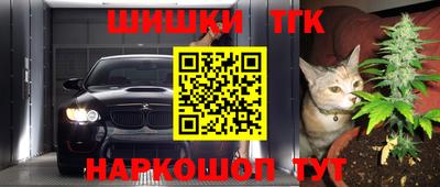 крисы Лесосибирск