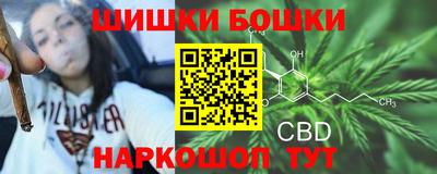 крисы Лесосибирск