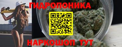 крисы Лесосибирск