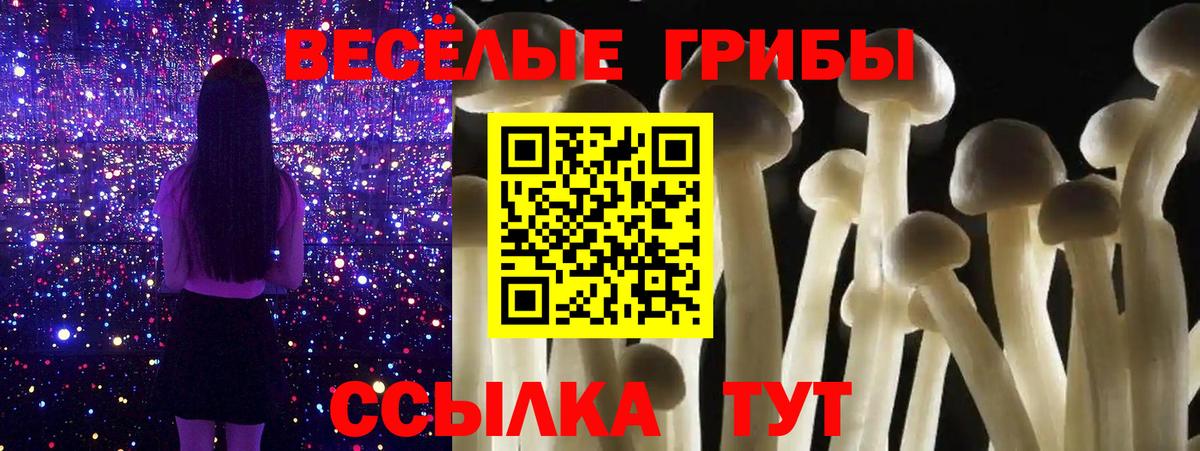 Заводоуковск  Галлюциногенные грибы Cubensis  Галлюциногенные грибы мухоморы  Вход с VPN 
