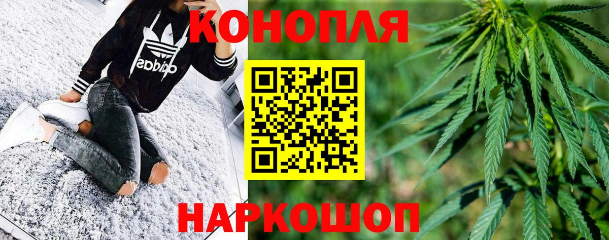 Каннабис планчик Заводоуковск